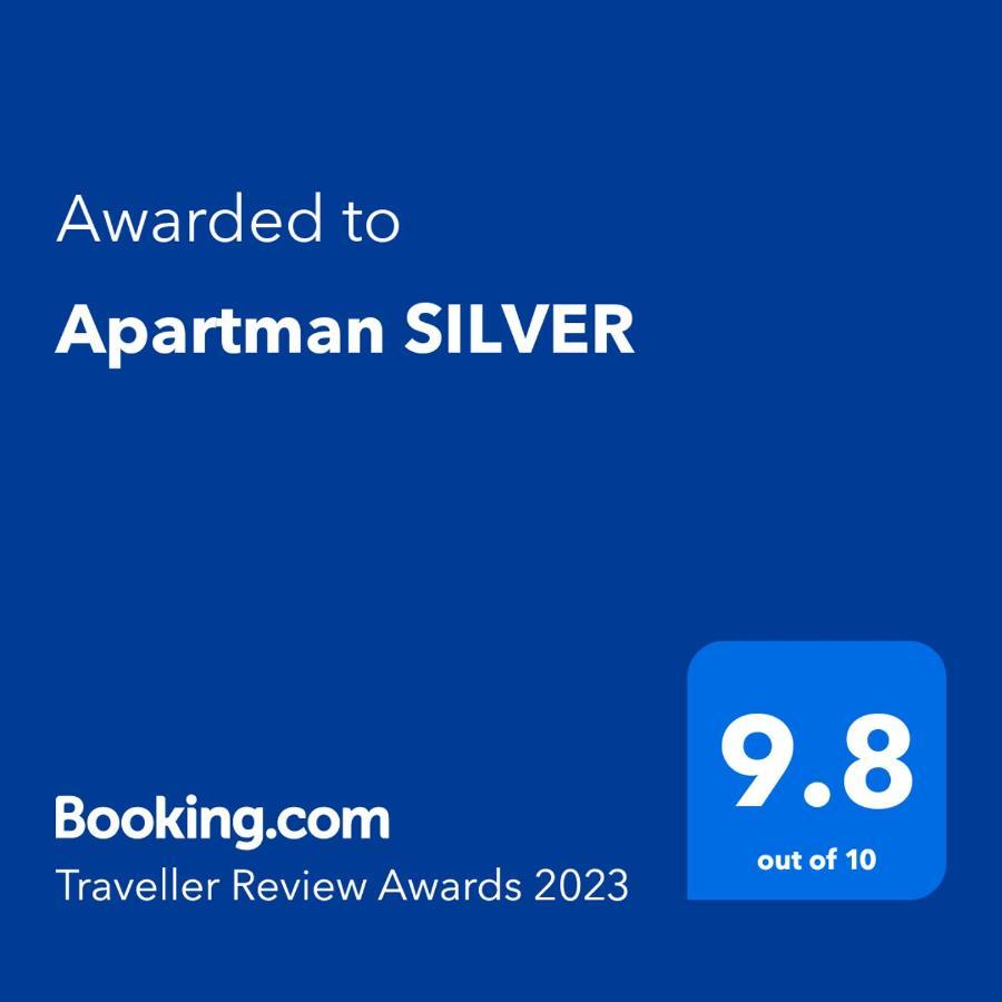 Apartman Silver 斯雷姆斯卡米特罗维察 外观 照片